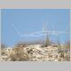 AA7BM - Dan's 20meter Moxon beam.jpg